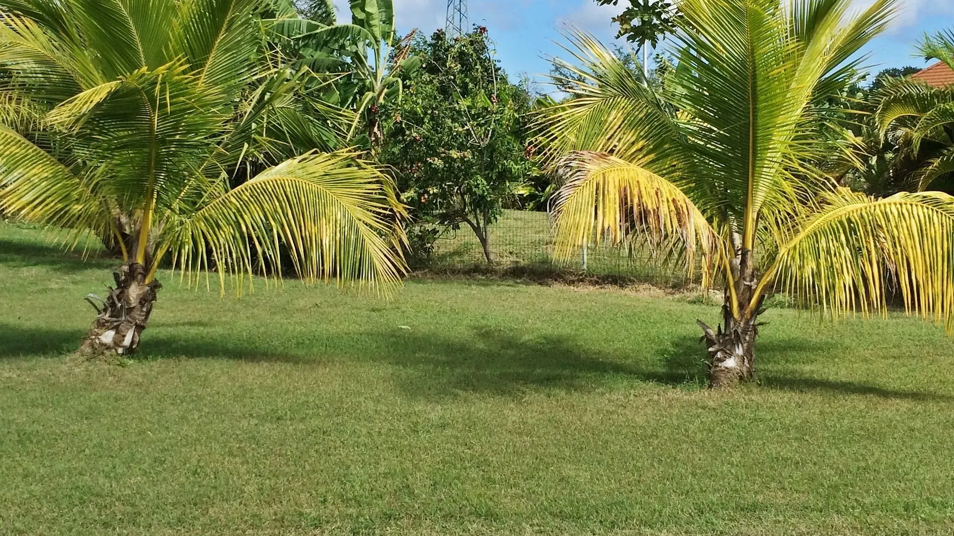 Villa 4 Saint-Francois
